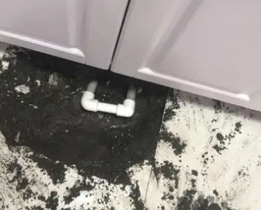 桂平查漏水哪家好